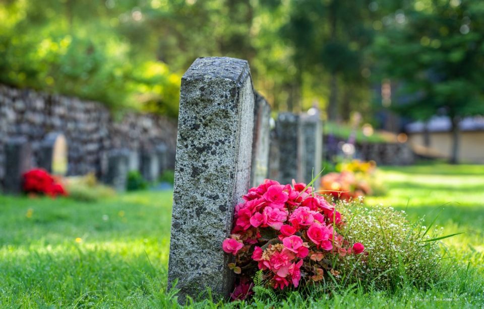 Reihen von Grabsteinen auf einem grünen Friedhof mit leuchtend rosa Blumen im Vordergrund