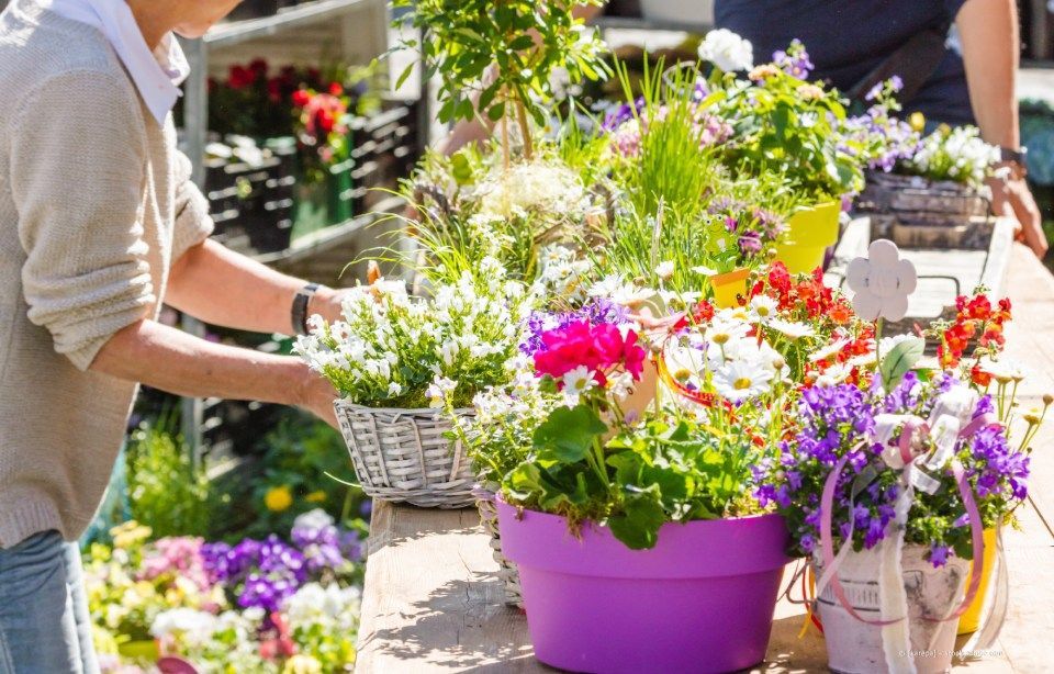 Menschen betrachten bunte Blumenkörbe auf einem Freiluftmarkt