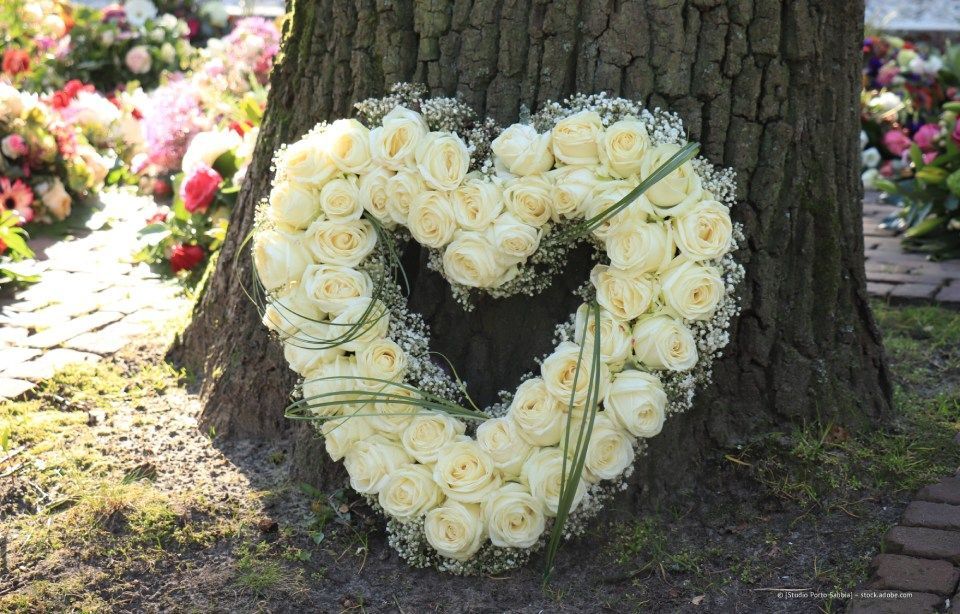 Ein herzförmiger Kranz aus weißen Rosen lehnt an einem Baumstamm in einem Garten.