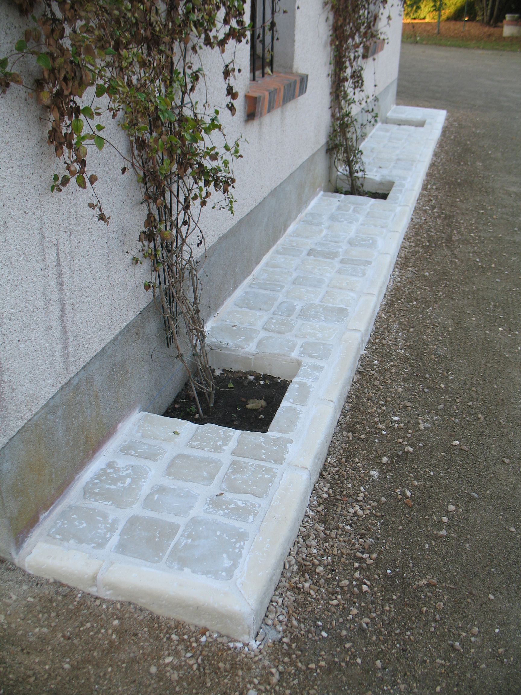 Allée en pierre avec deux trous de plantation, à côté d'un bâtiment blanc avec des plantes grimpantes.