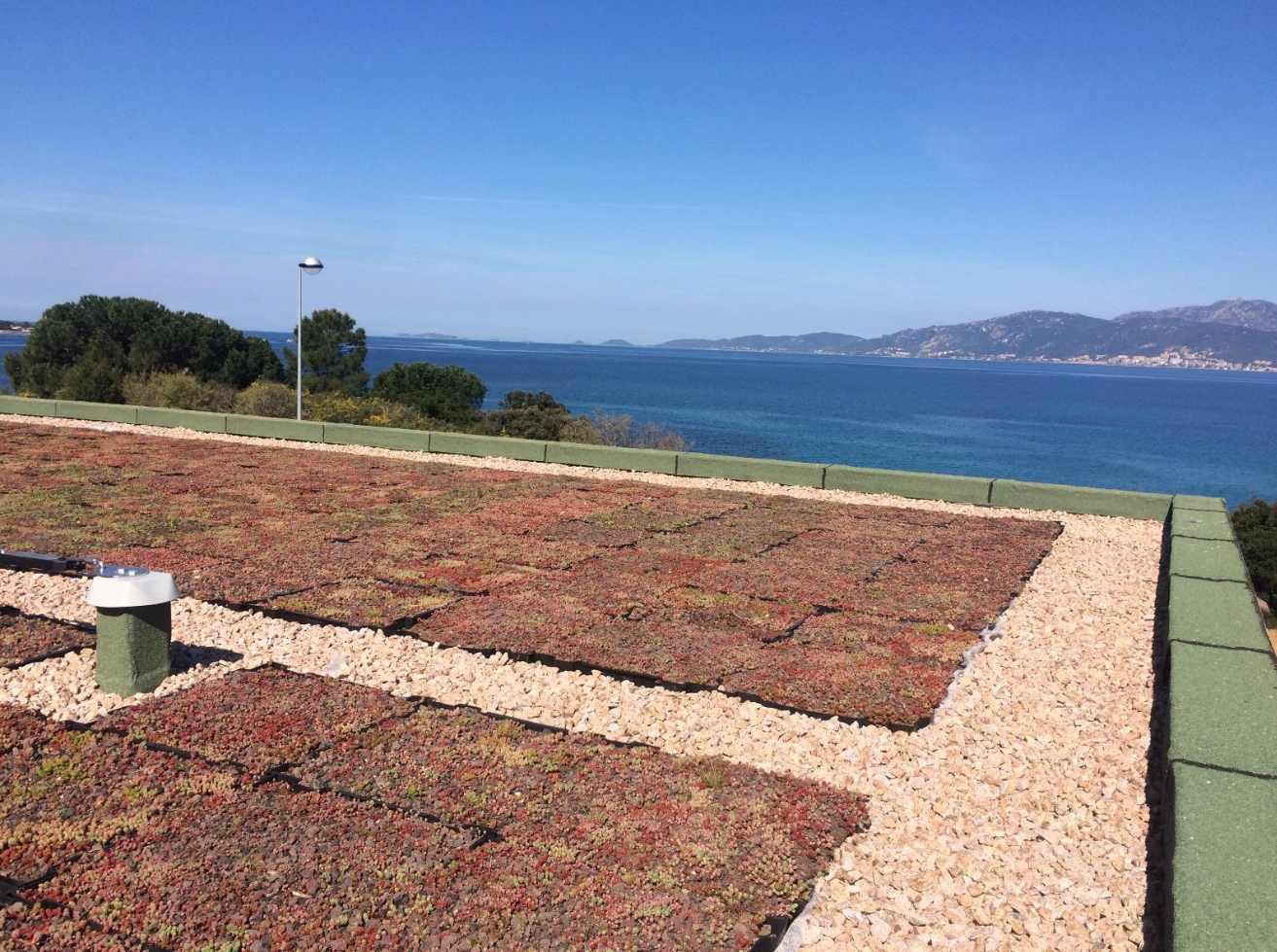 Vue d'un toit terrasse recouvert de végétation