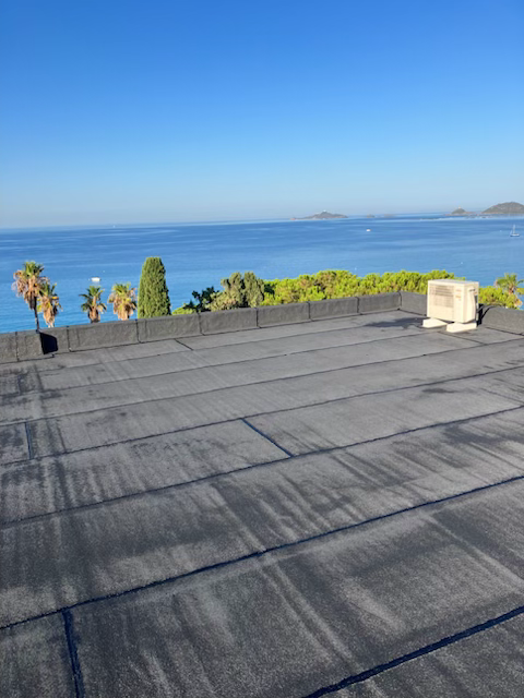 Revêtement noir de toit plat