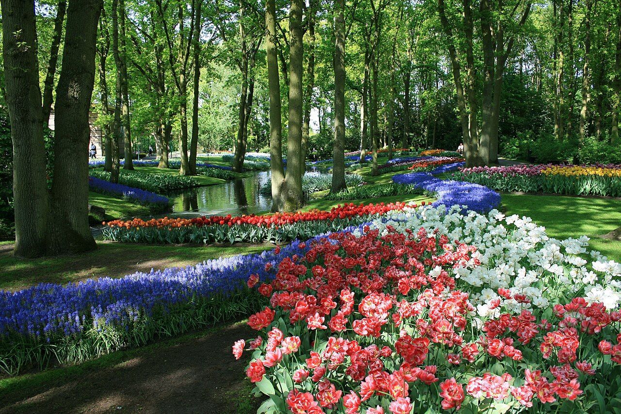 Beautiful landscaped park with colorful flower beds of red, white, and purple blooms, tall green trees, and a small winding stream reflecting the surrounding greenery in soft daylight.
