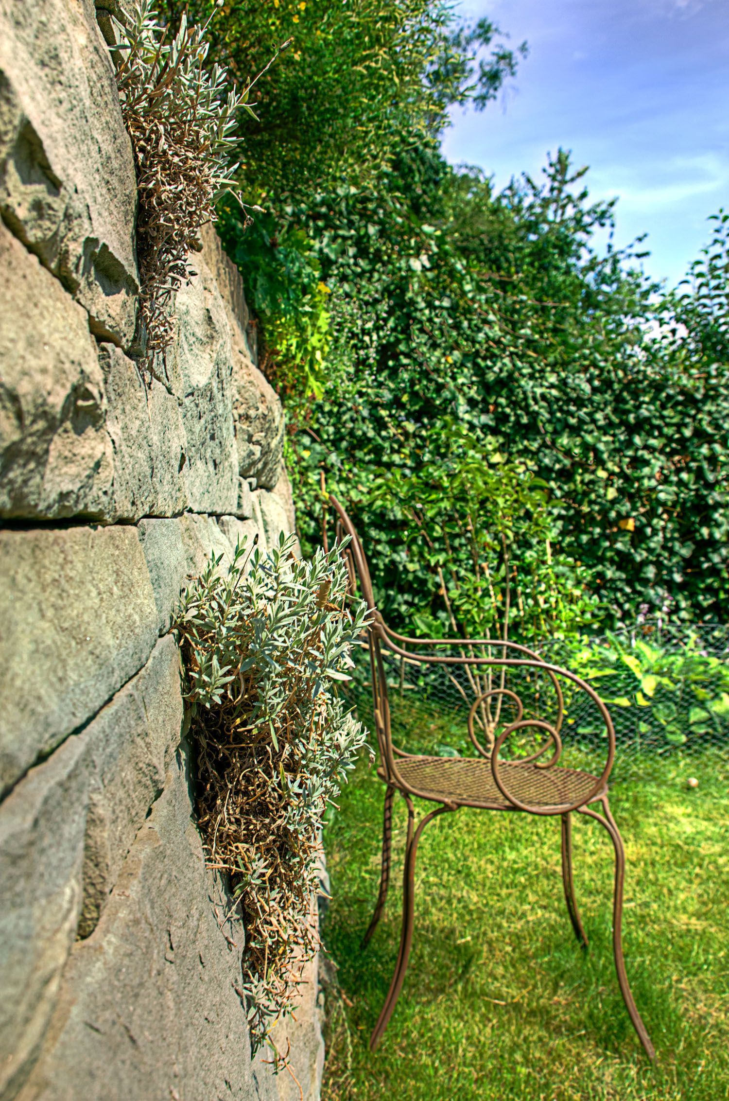 Müller Gartengestaltung GmbH