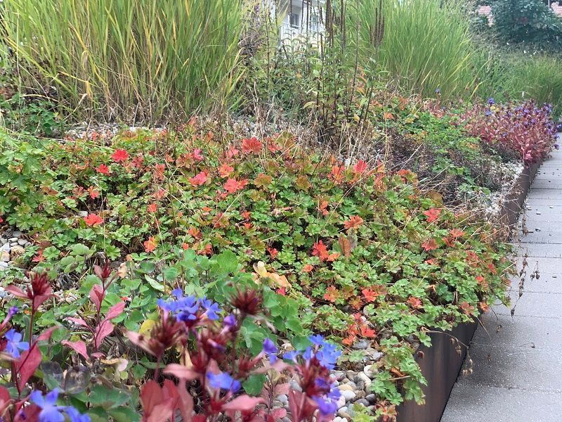 Müller Gartengestaltung GmbH