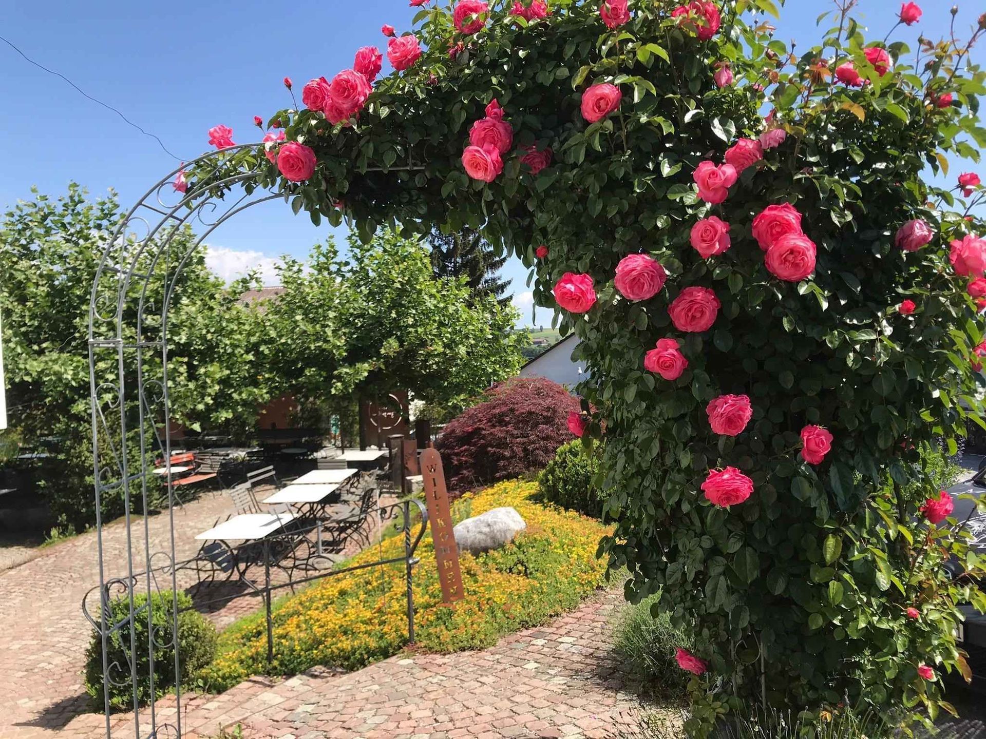 Müller Gartengestaltung GmbH