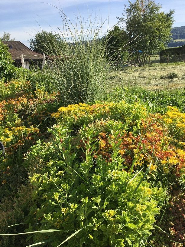 Müller Gartengestaltung GmbH