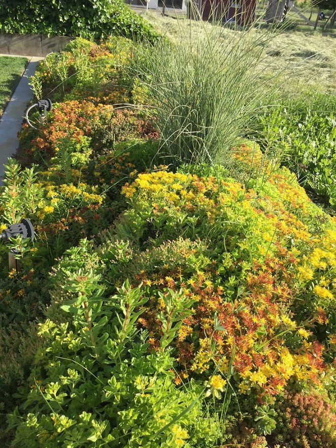 Müller Gartengestaltung GmbH