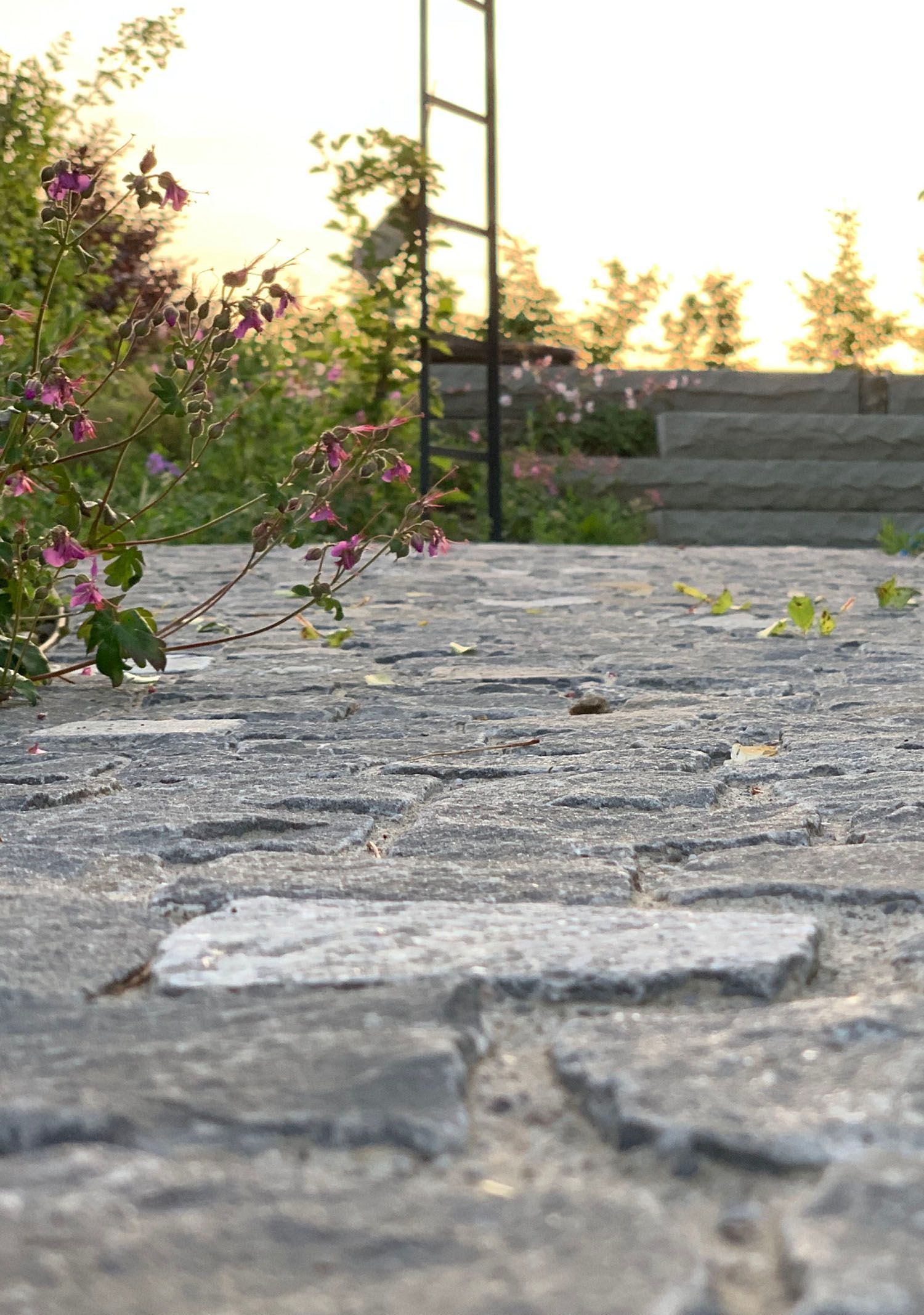 Müller Gartengestaltung GmbH