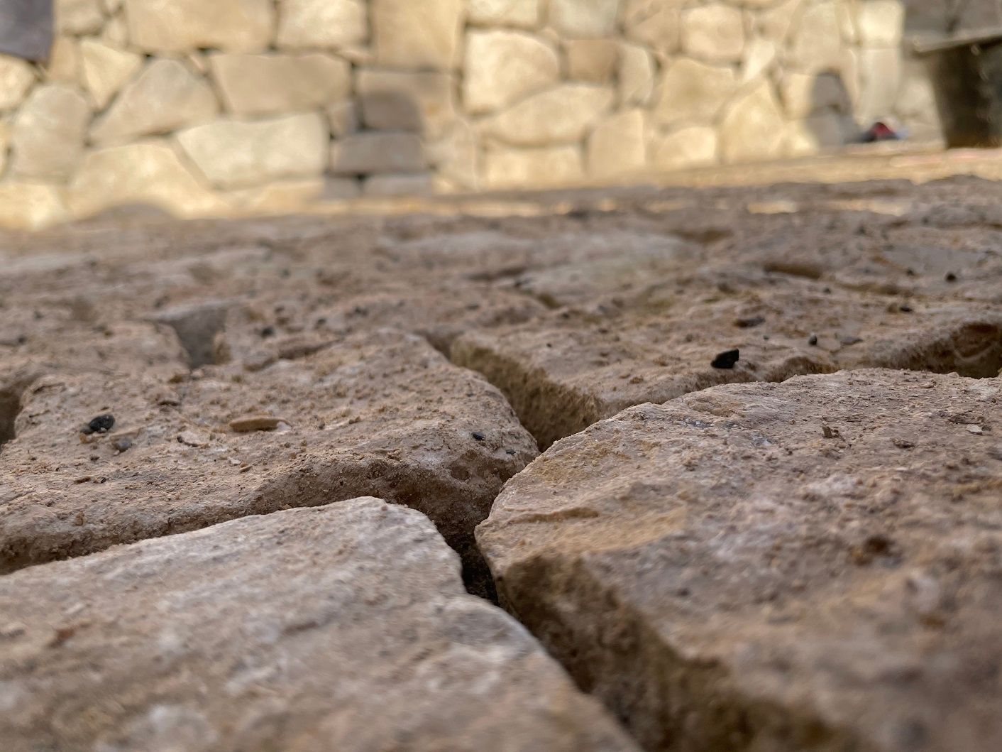 Müller Gartengestaltung GmbH