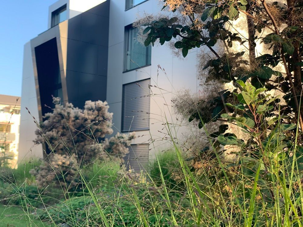 Müller Gartengestaltung GmbH