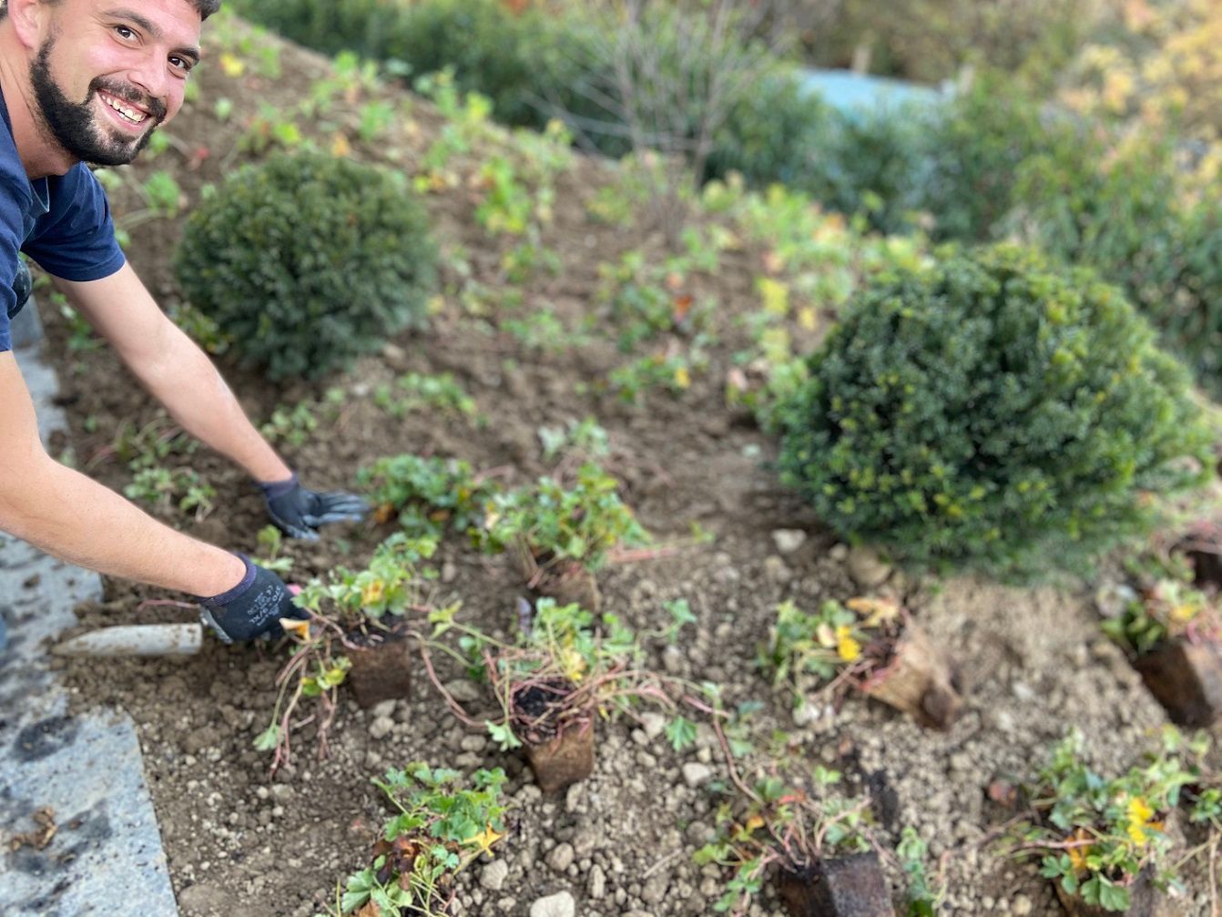 Müller Gartengestaltung GmbH