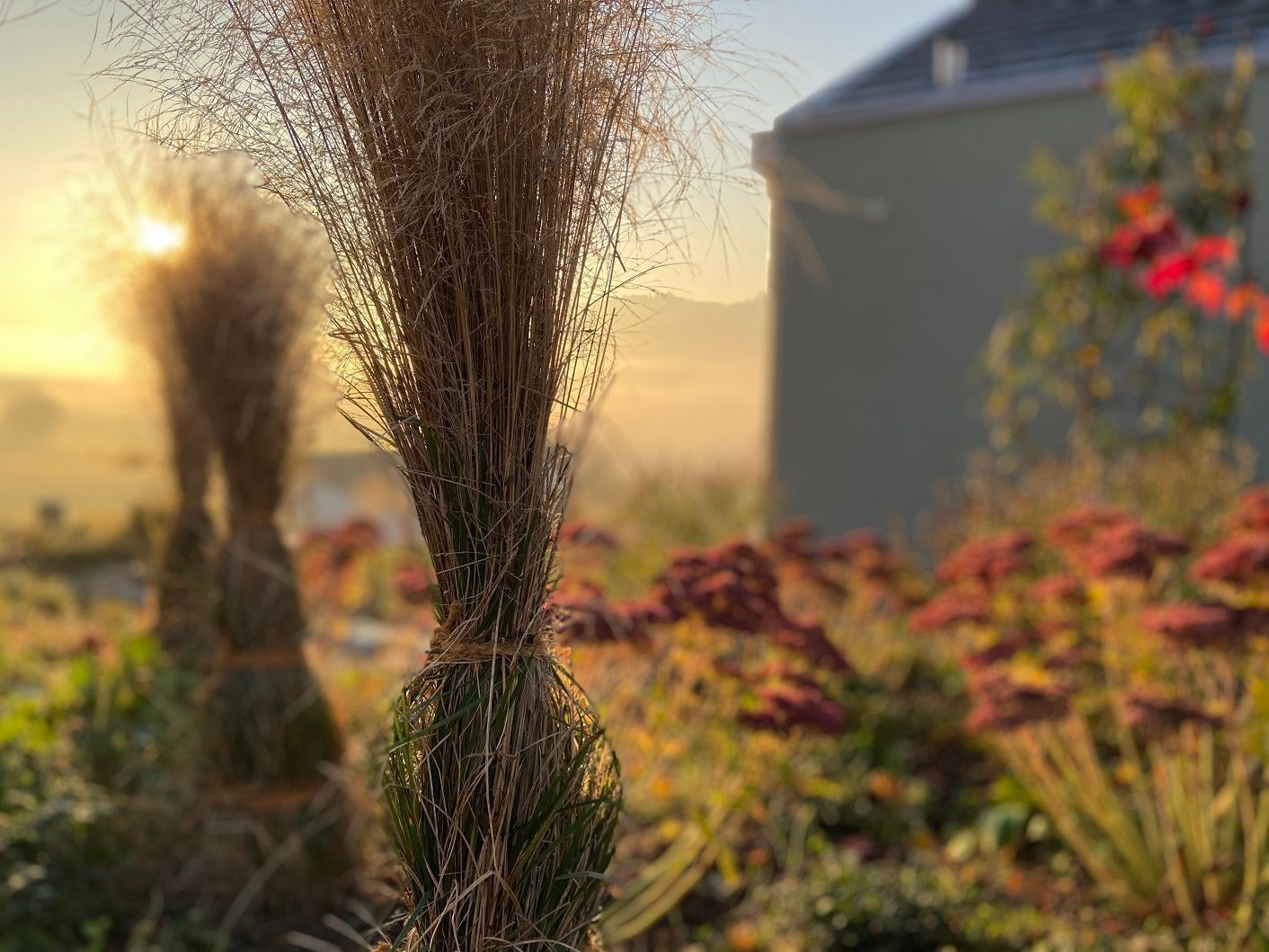 Müller Gartengestaltung GmbH
