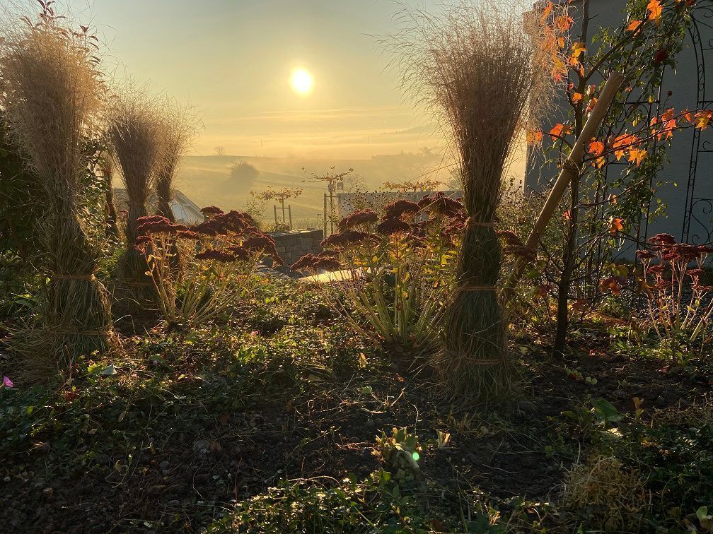 Müller Gartengestaltung GmbH