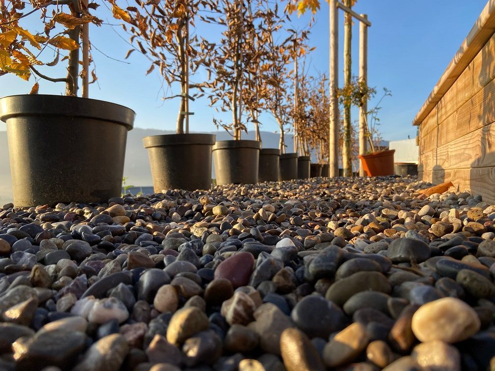 Müller Gartengestaltung GmbH