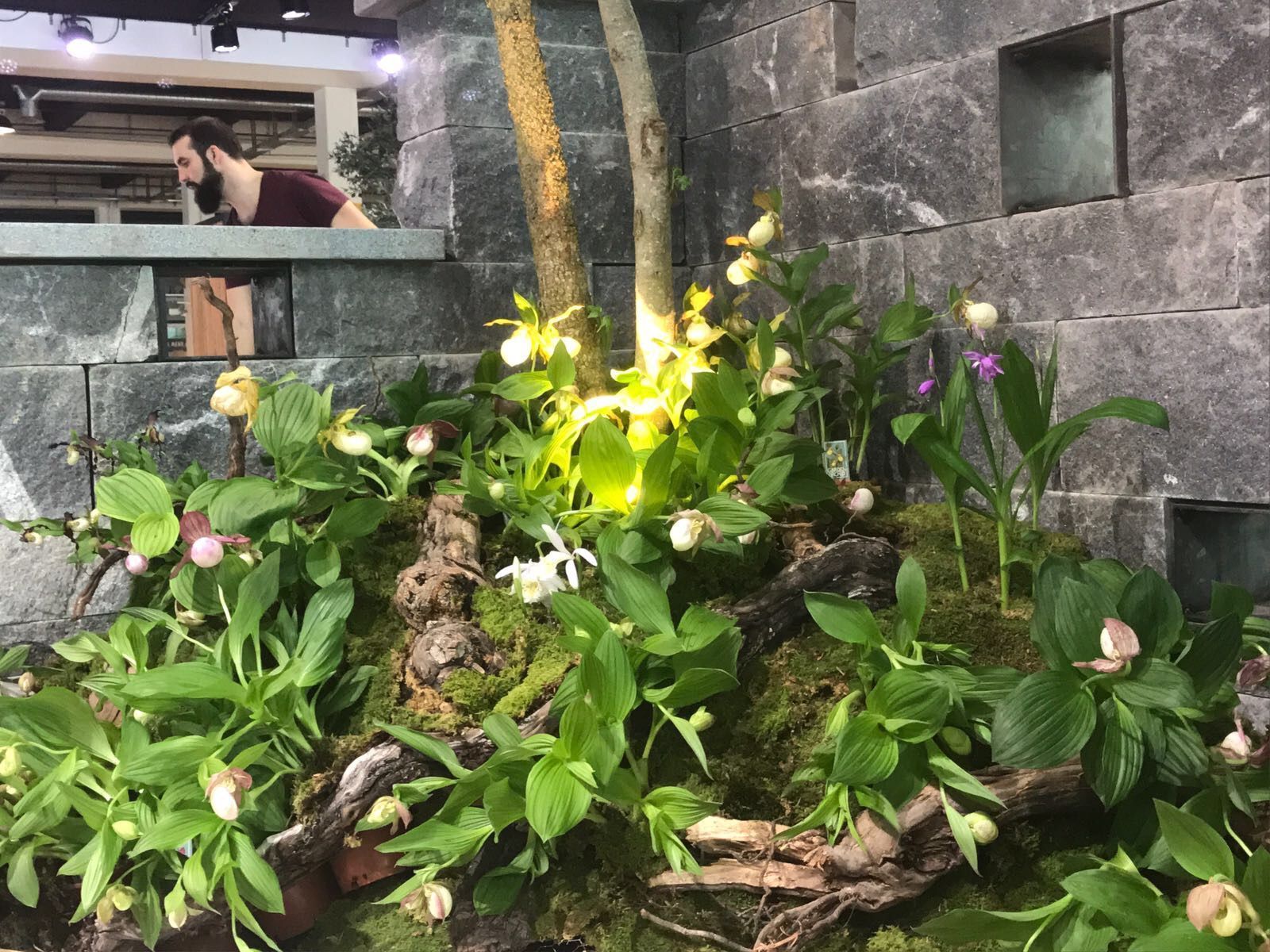 Müller Gartengestaltung GmbH