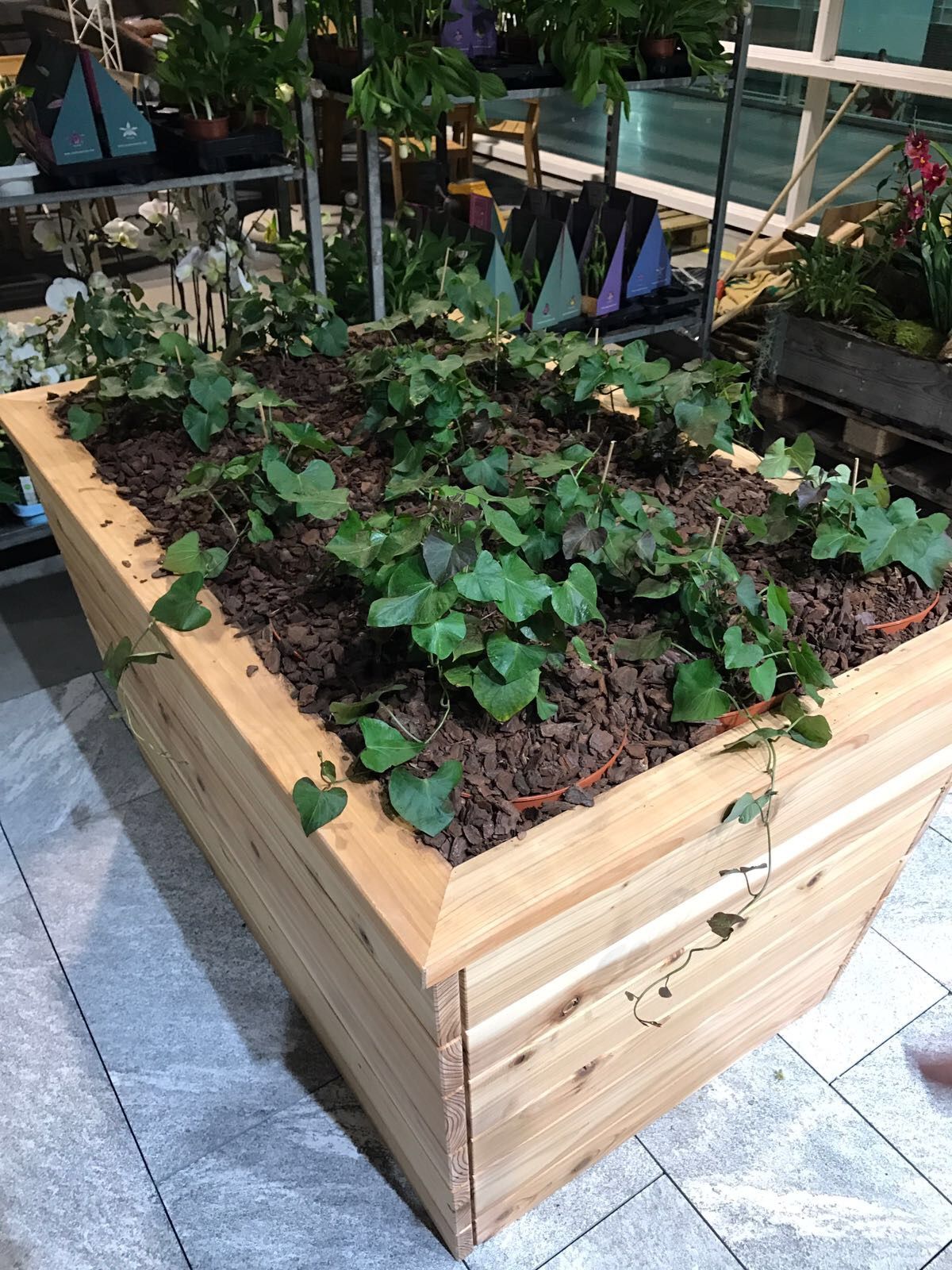 Müller Gartengestaltung GmbH