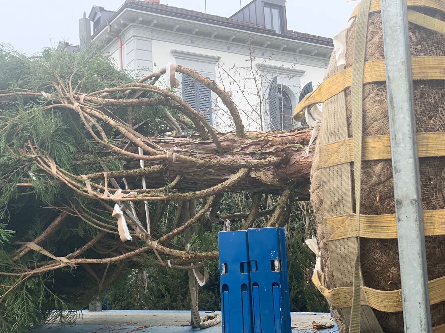 Müller Gartengestaltung GmbH