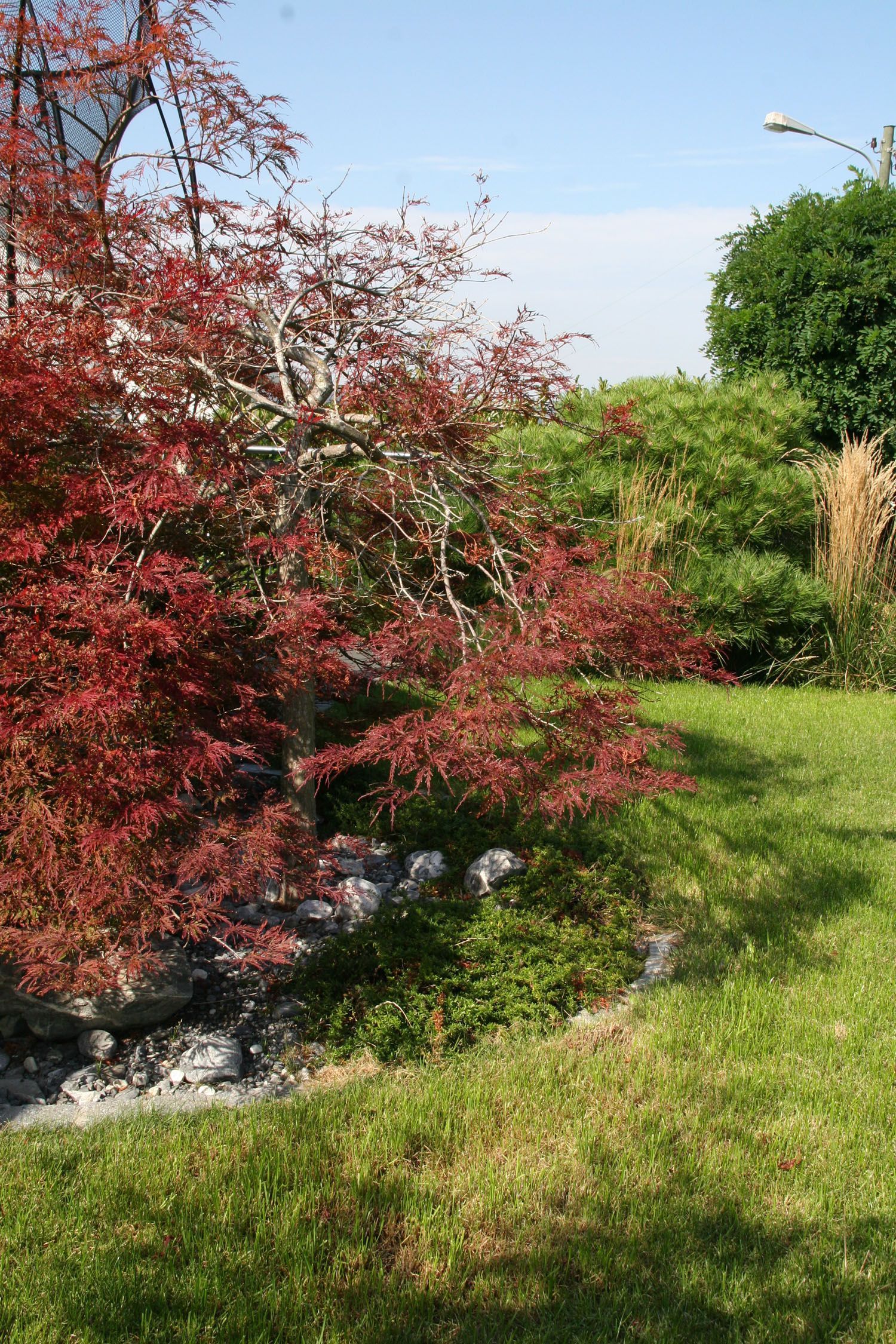 Müller Gartengestaltung GmbH