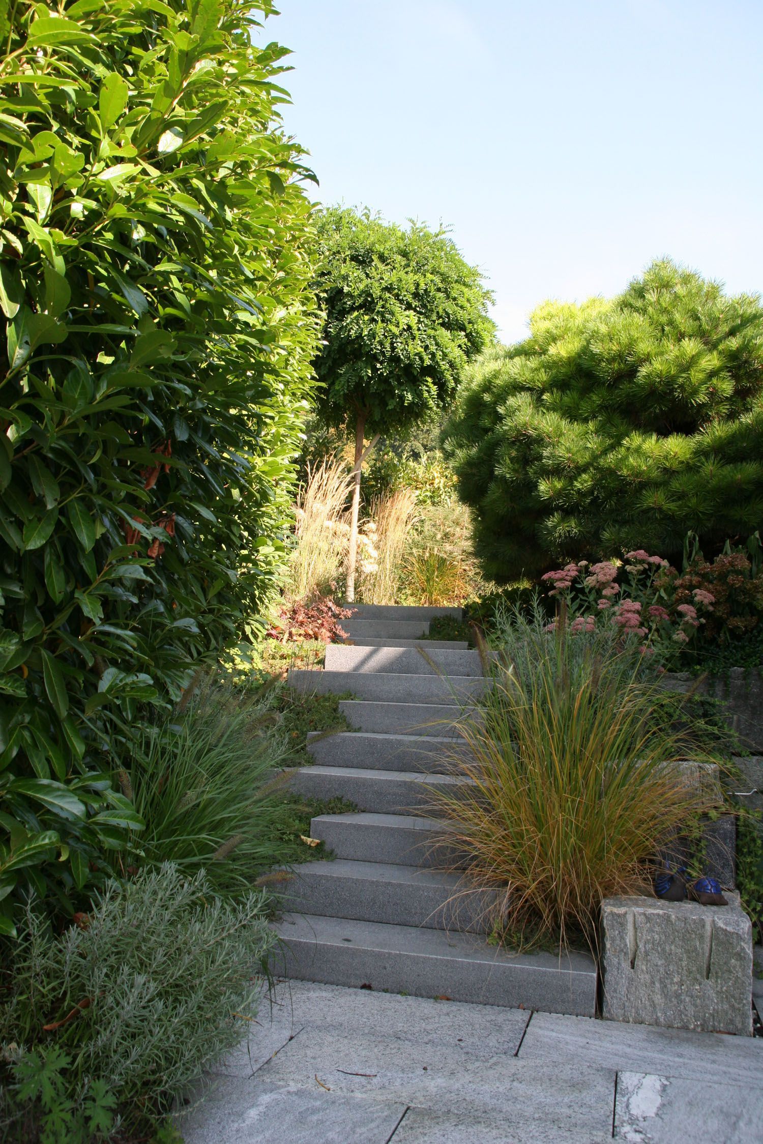 Müller Gartengestaltung GmbH