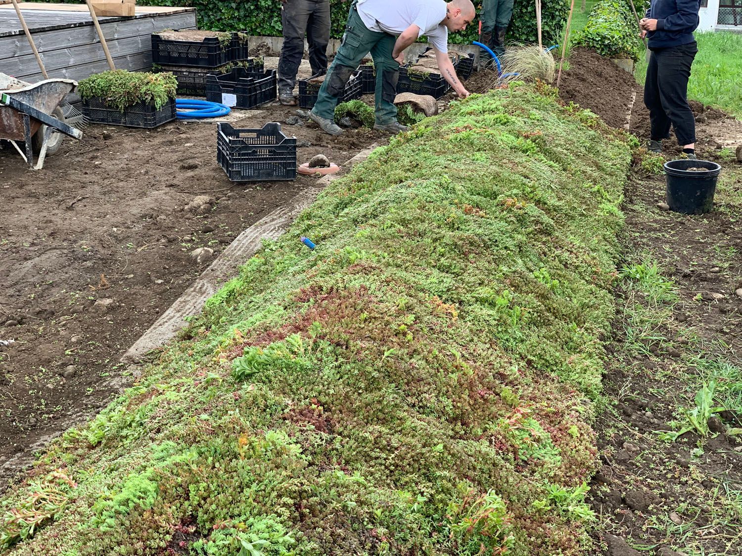 Müller Gartengestaltung GmbH