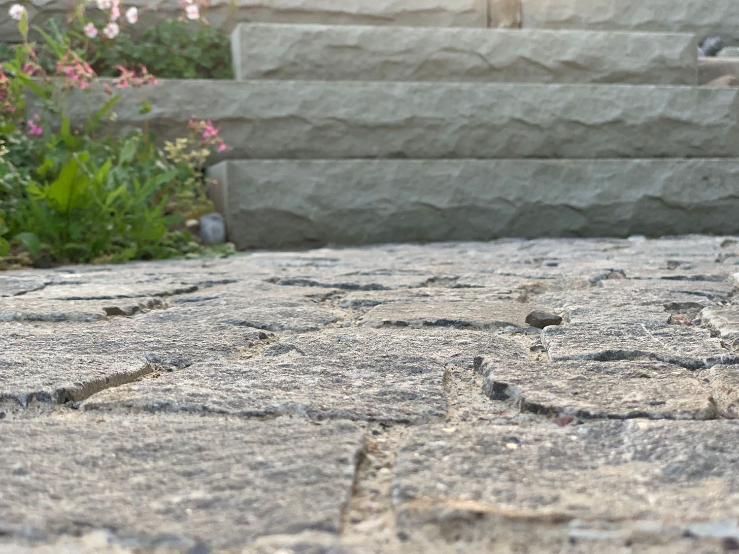 Müller Gartengestaltung GmbH