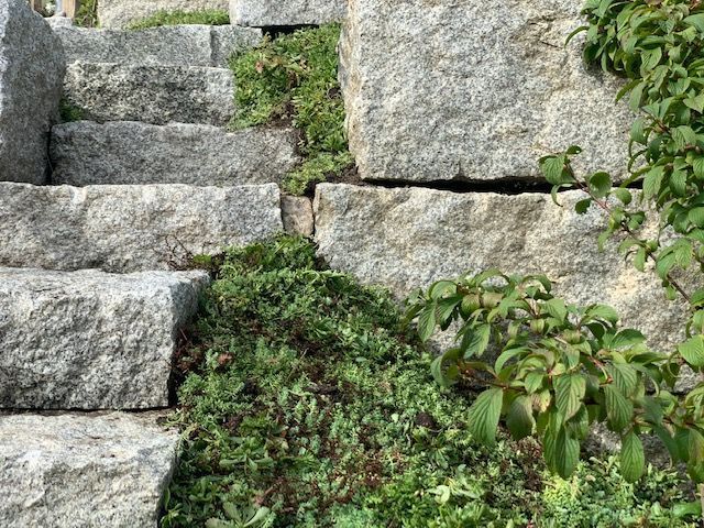 Müller Gartengestaltung GmbH