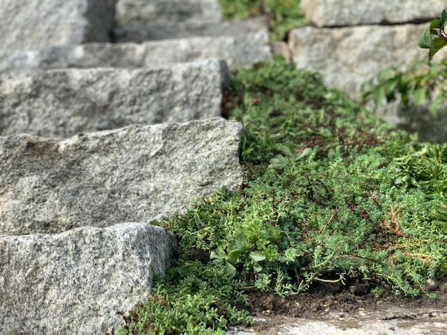 Müller Gartengestaltung GmbH