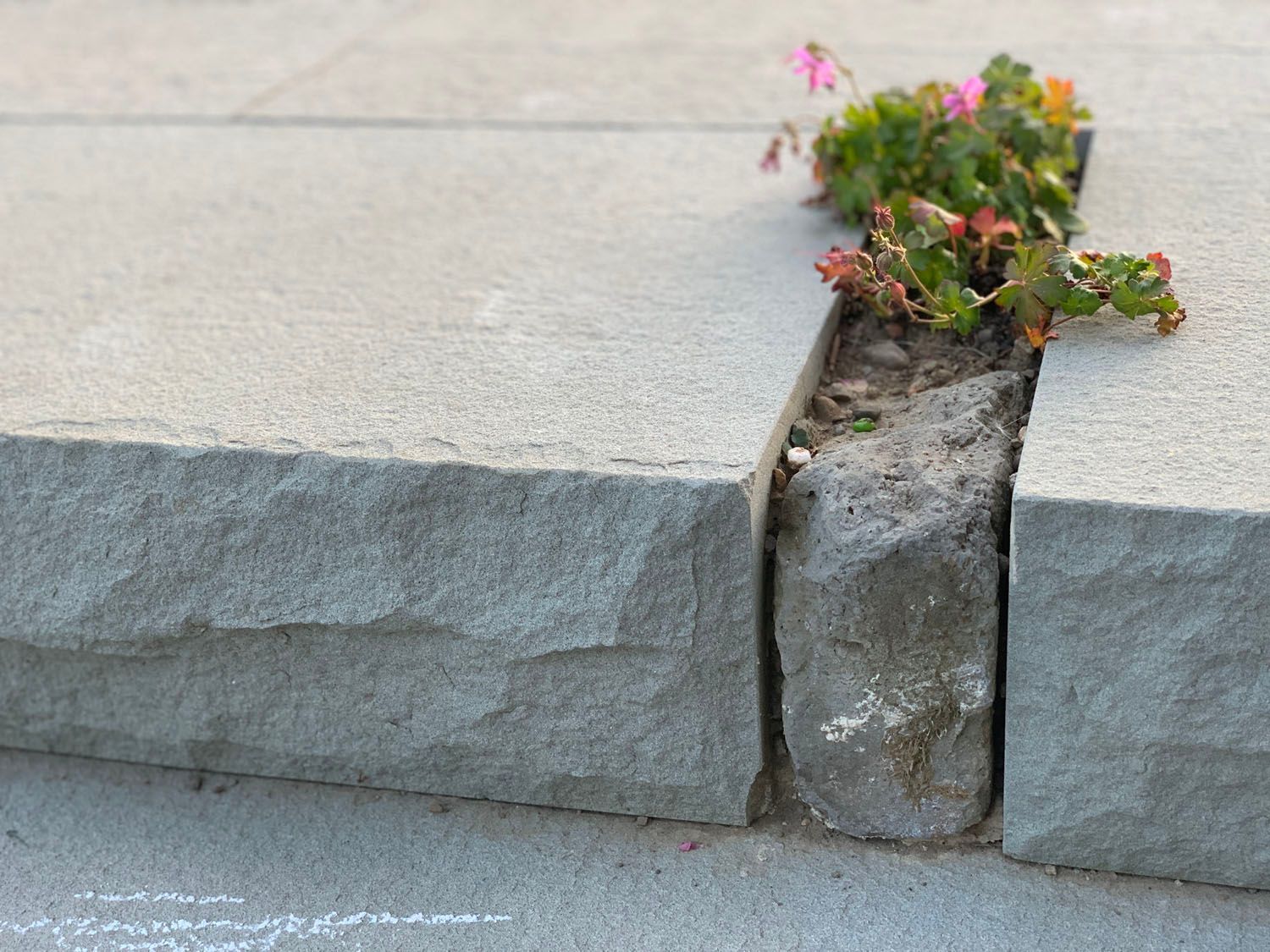 Müller Gartengestaltung GmbH