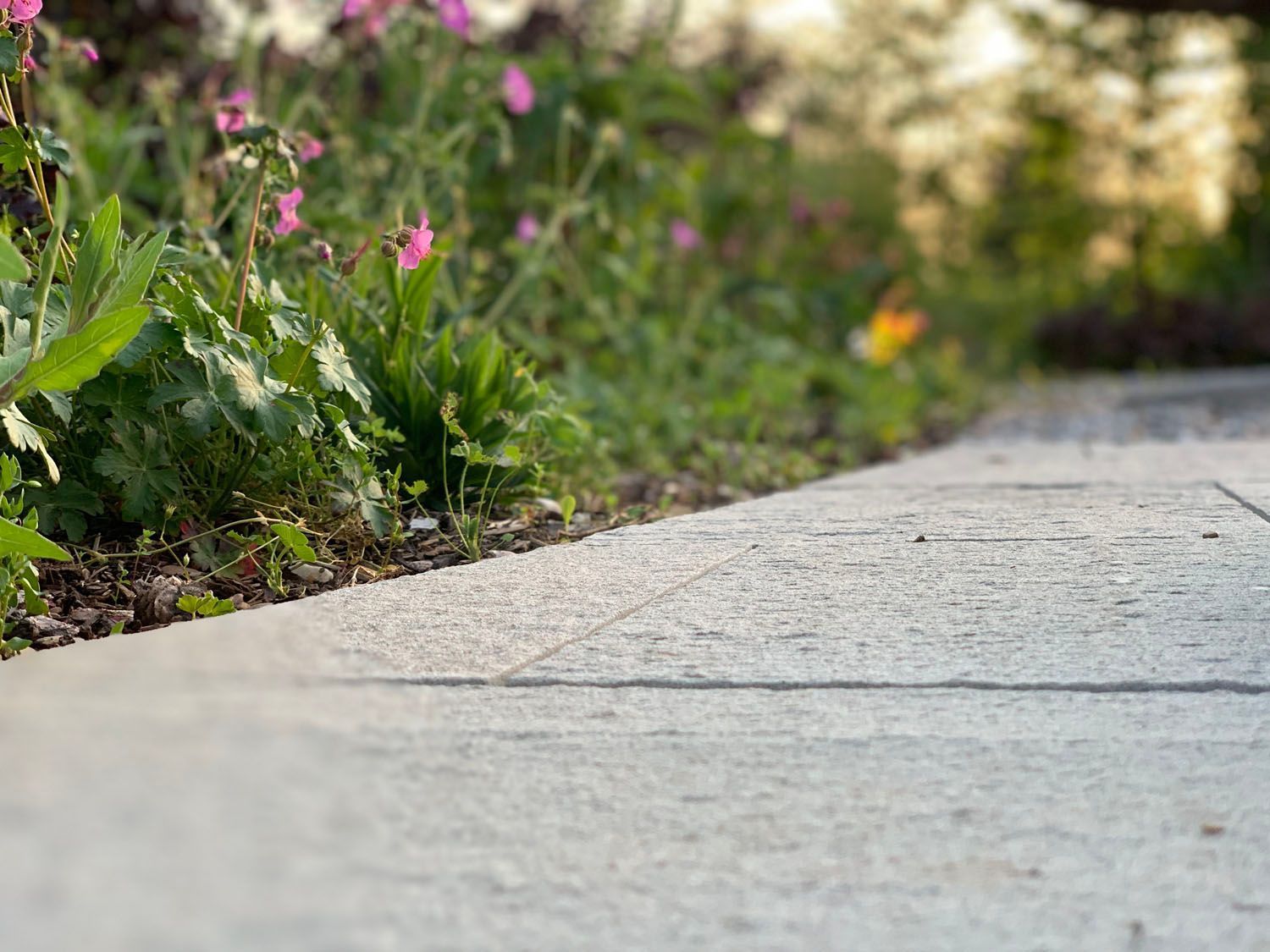 Müller Gartengestaltung GmbH