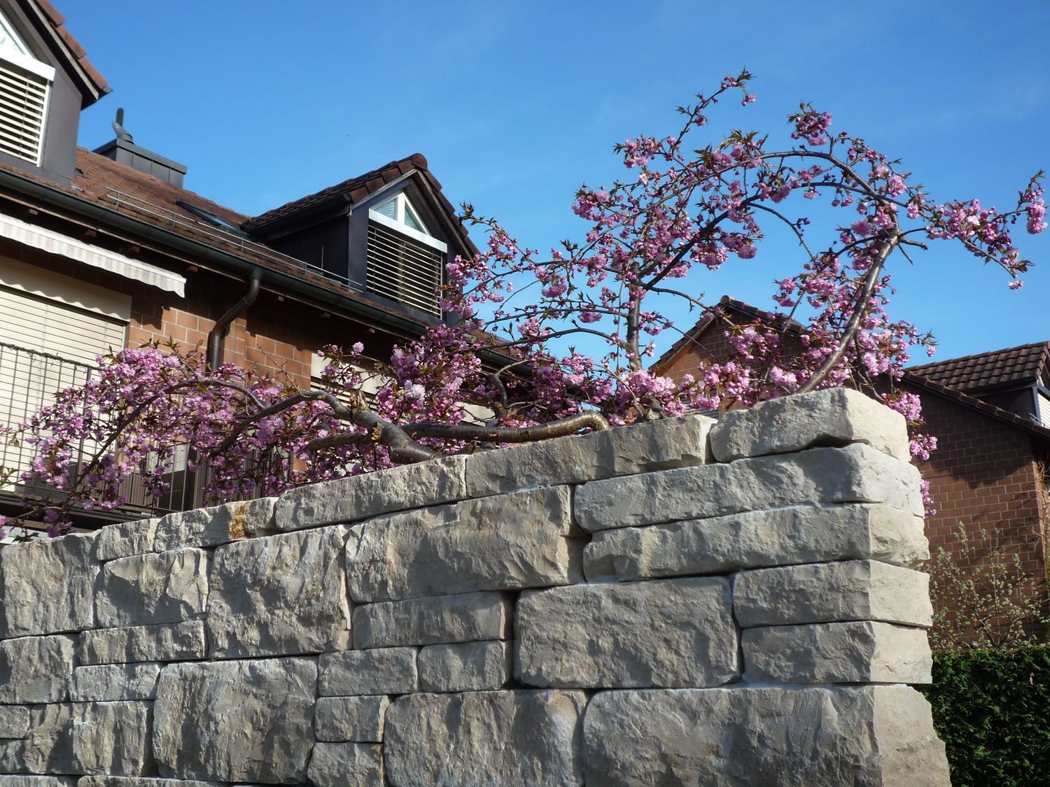 Müller Gartengestaltung GmbH