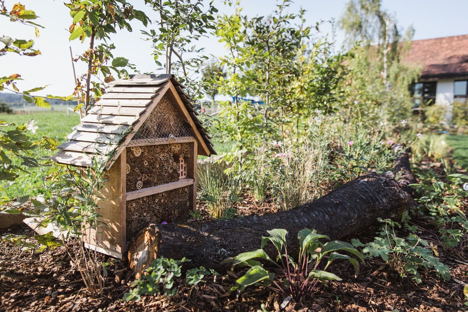 Müller Gartengestaltung GmbH