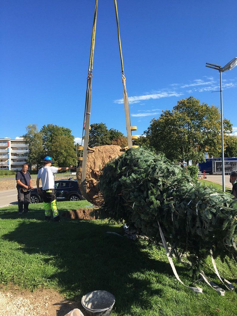 Müller Gartengestaltung GmbH
