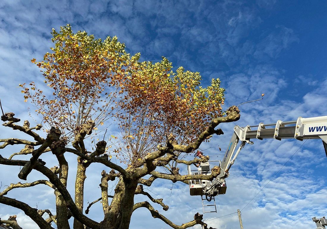 Müller Gartengestaltung GmbH