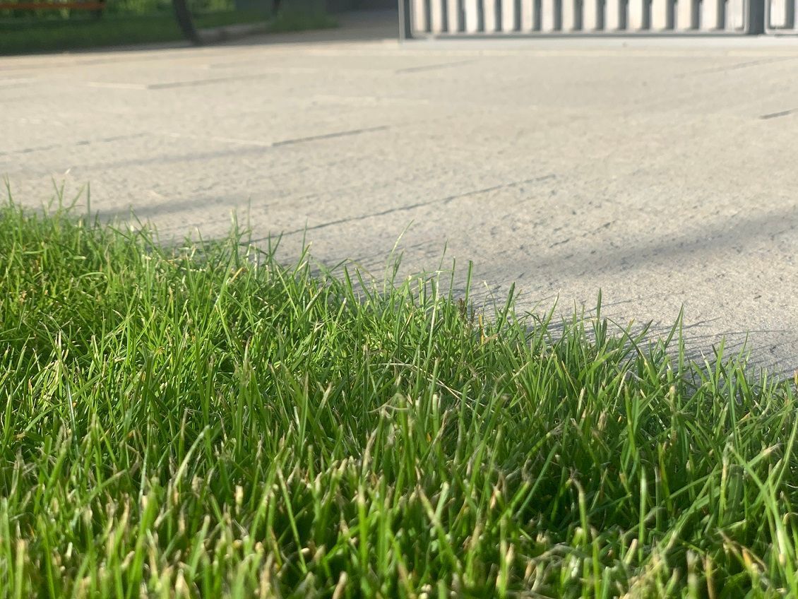 Müller Gartengestaltung GmbH