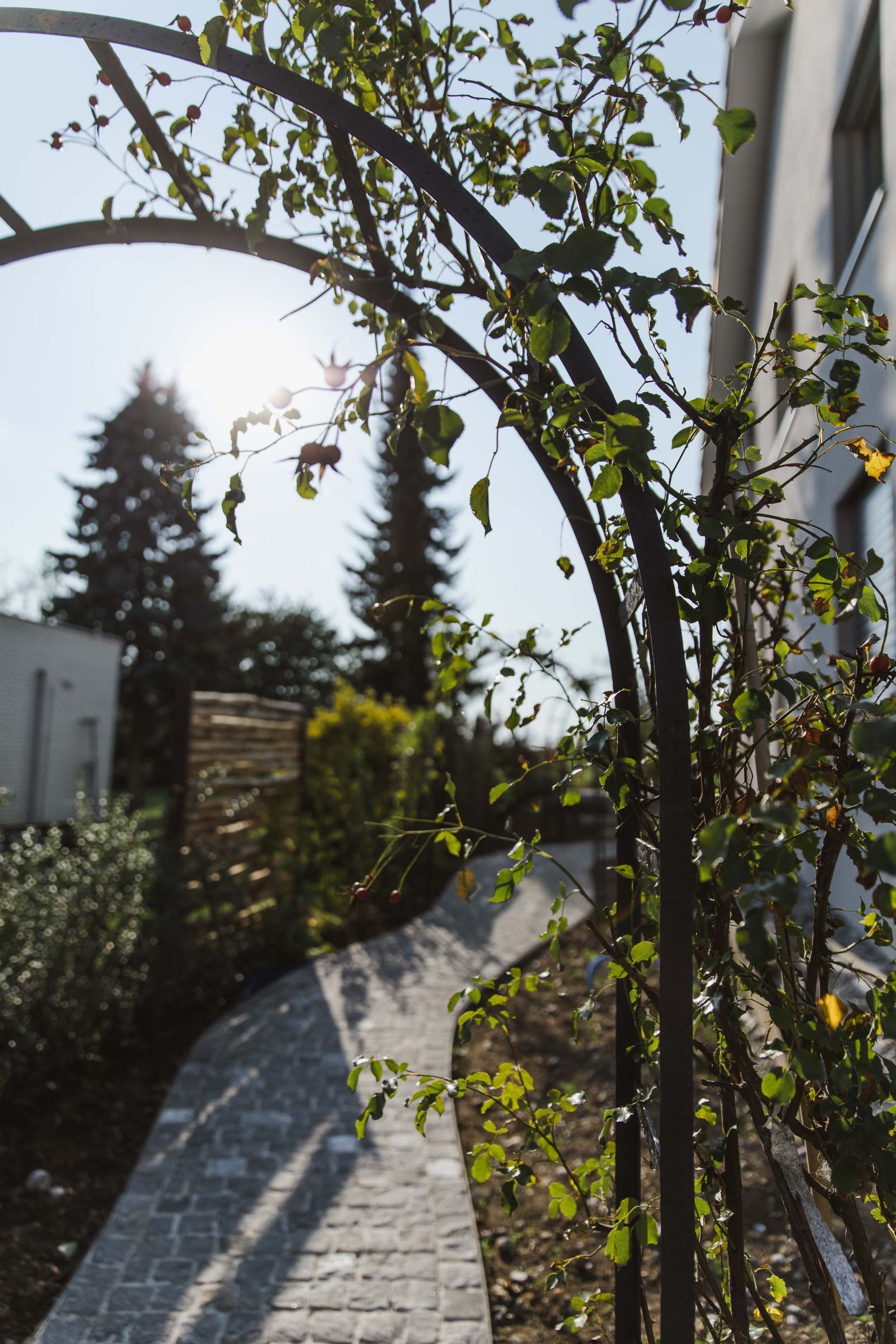Müller Gartengestaltung GmbH