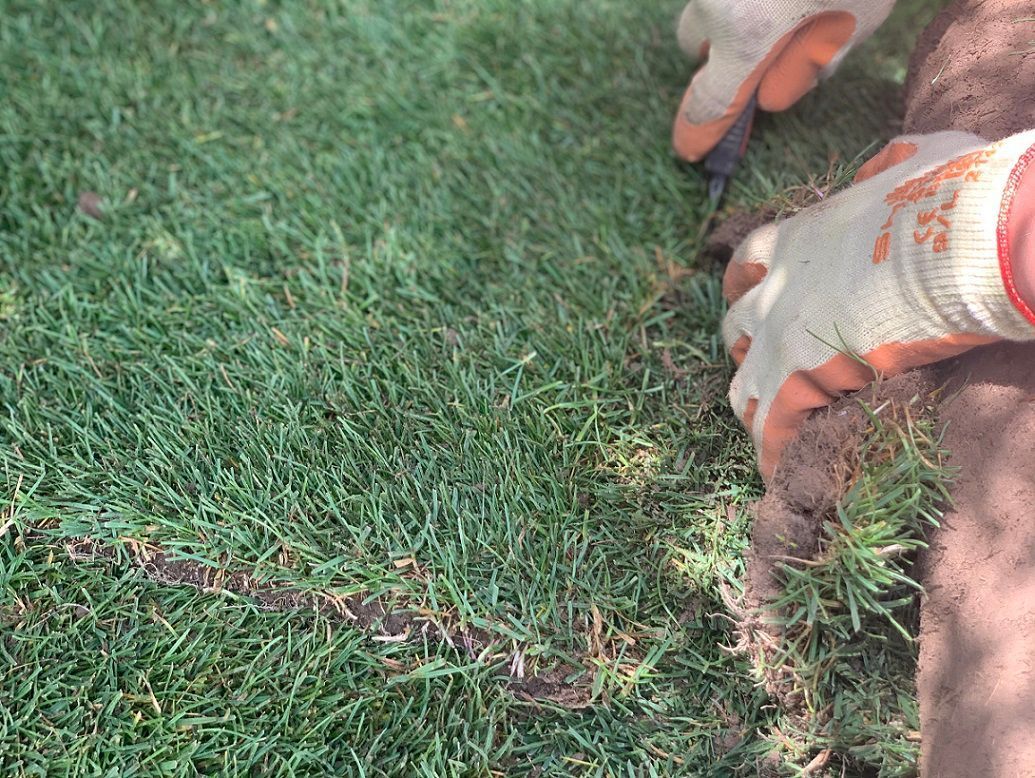 Müller Gartengestaltung GmbH