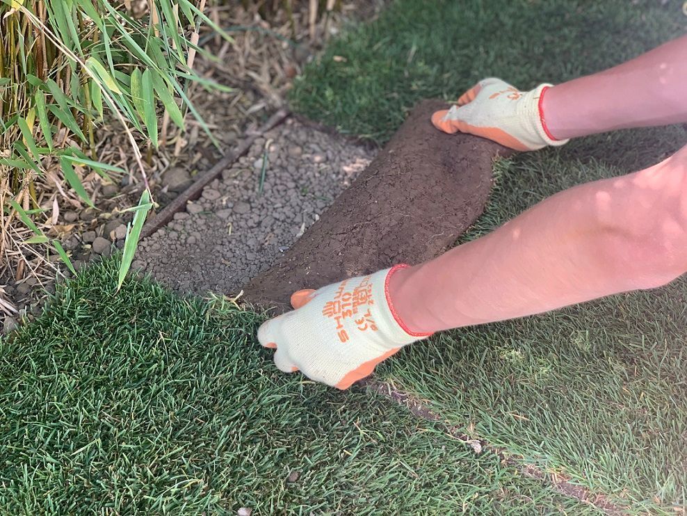 Müller Gartengestaltung GmbH