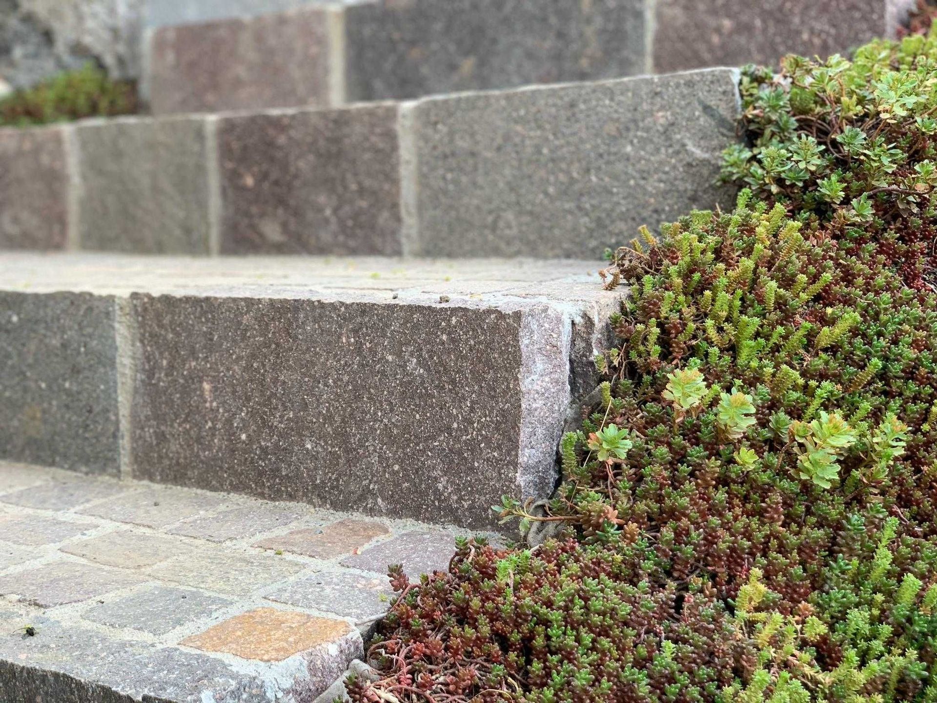 Müller Gartengestaltung GmbH