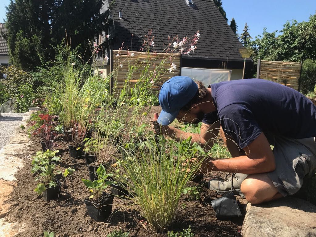 Müller Gartengestaltung GmbH