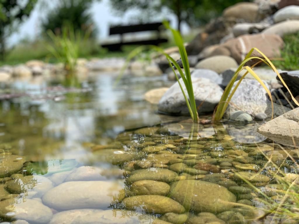 Müller Gartengestaltung GmbH