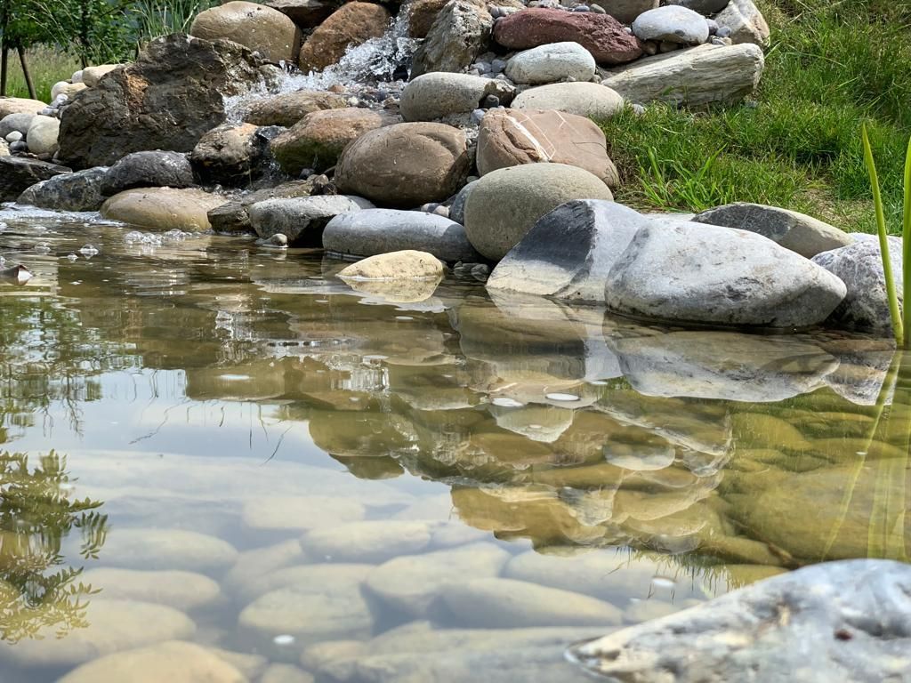 Müller Gartengestaltung GmbH