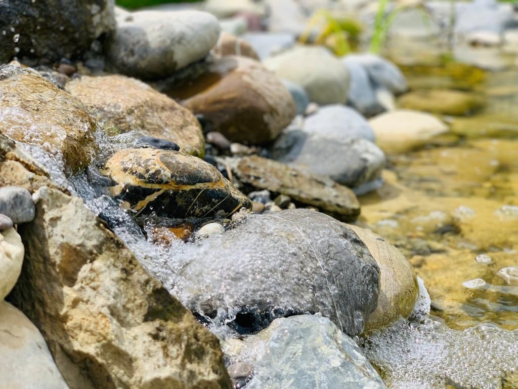 Müller Gartengestaltung GmbH