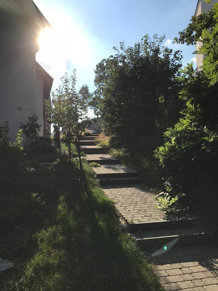 Müller Gartengestaltung GmbH