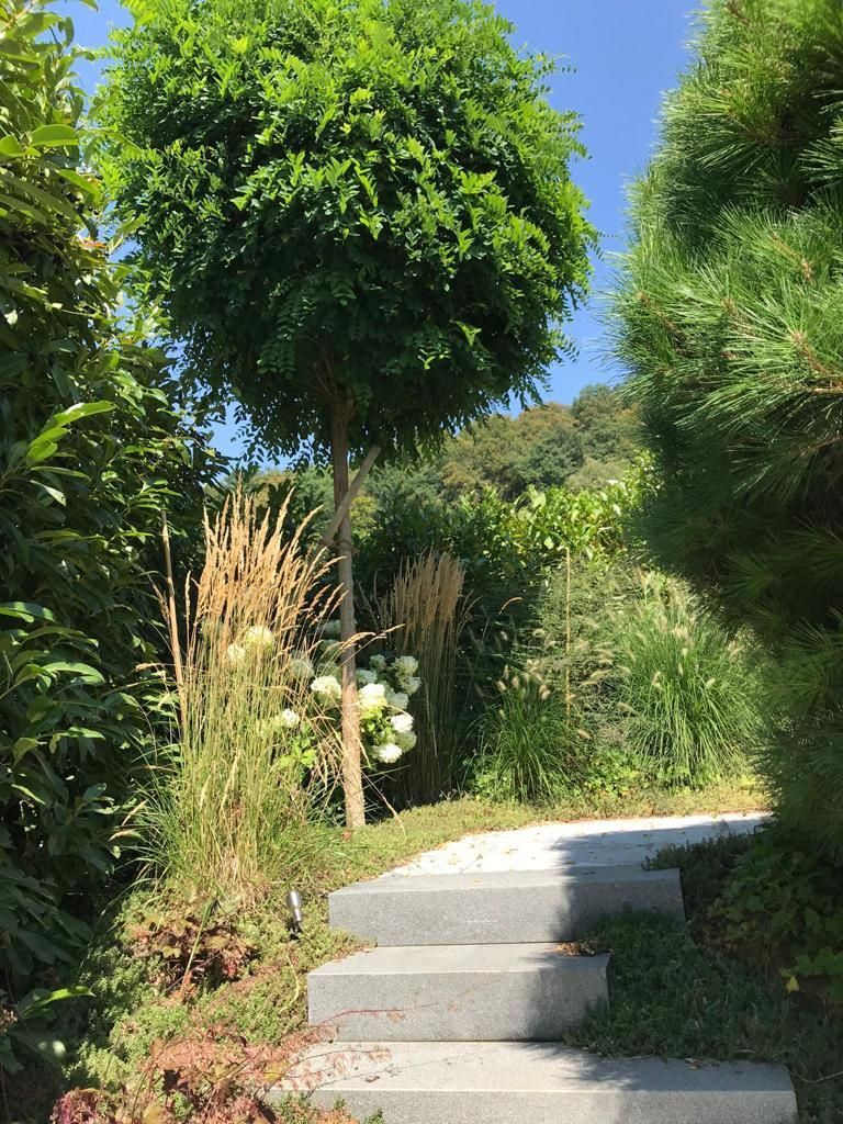 Müller Gartengestaltung GmbH