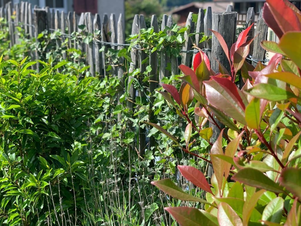 Müller Gartengestaltung GmbH