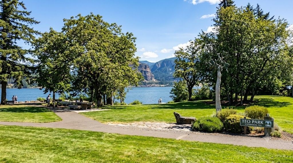 Sunny lakeside park with trees, a bench, green lawn, and mountains across the water