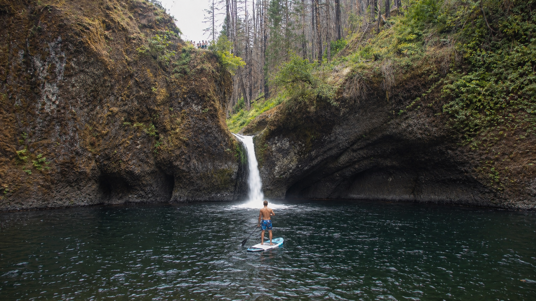 A person paddleboarding below a small waterfall in a rocky forest gorge.