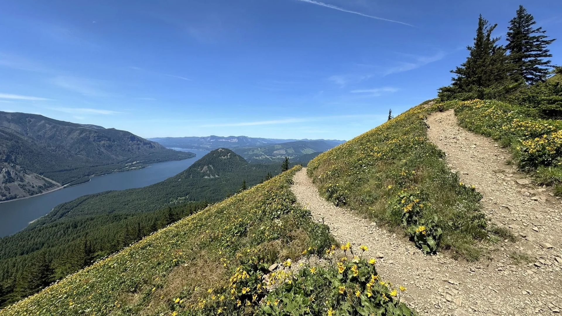 A winding dirt hiking trail cuts through a grassy, yellow-flowered mountainside overlooking a large river and valley.