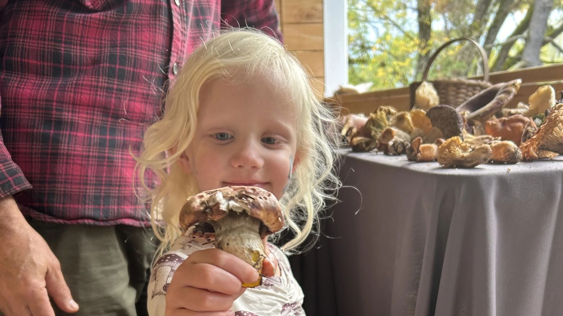 A child holding a mushroom toward the camera, with a table full of various mushrooms behind them.